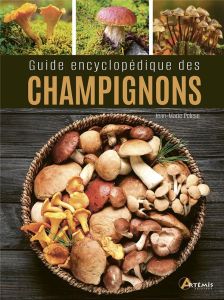 Guide encyclopédique des champignons - COLLECTIF