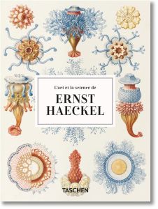 L'art et la science de Ernst Haeckel - Willmann Rainer - Voss Julia - Fondard Aude