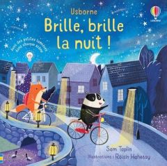 Brille, brille la nuit ! Avec des petites lumières dans chaque scène - Taplin Sam - Hahessy Roisin - Duran Véronique