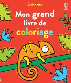 Mon grand livre de coloriage - Addison Jenny - Nolan Kate - Oldham Matthew - Souc