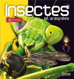 Insectes et araignées - Tait Noel