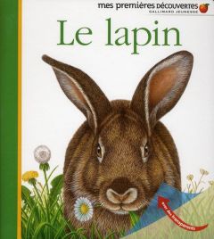 Le lapin - Hugo Pierre de