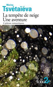 La tempête de neige - Une aventure. 2 pièces romantiques - Tsvétaïeva Marina