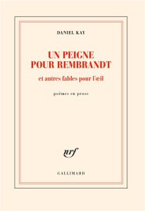 Un peigne pour Rembrandt et autres fables pour l'oeil - Kay Daniel