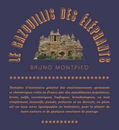 Le gazouillis des éléphants. Edition actualisée - Montpied Bruno