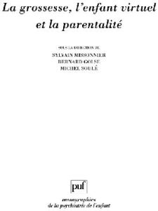 La grossesse, l'enfant virtuel et la parentalité - Missonnier Sylvain - Golse Bernard - Soulé Michel