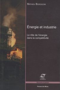 Energie et industrie. Le rôle de l'énergie dans la compétitivité - Bordigoni Mathieu - Creuzet Gérard