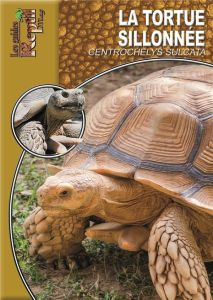 La tortue sillonnée. Centrochelys sulcata - Herz Mario - Vedovotto Nathalie