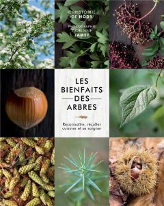 Les bienfaits des arbres. Reconnaître, récolter, cuisiner et se soigner - Hody Christophe de - Bayard Marine - Jamet Moreno