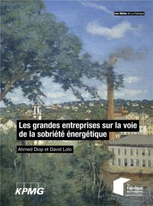 Les grandes entreprises sur la voie de la sobriété énergétique - Diop Ahmed - Lolo David - Loth Olivier - Chalendar