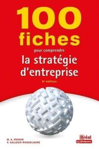 100 fiches pour comprendre la stratégie d'entreprise. 8e édition - Payaud Marielle Audrey - Dumalanède Constance