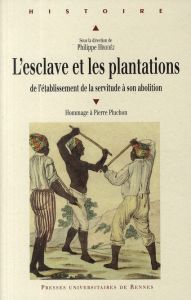 L'esclave et les plantations. De l'établissement de la servitude à son abolition - Hrodej Philippe - Brenot Anne-Marie - Bonnet Natac