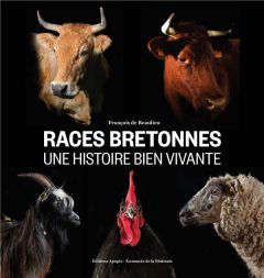 Races bretonnes, une histoire bien vivante - Beaulieu François de - Maillard Jean-Luc