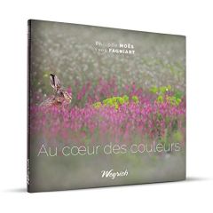 Au coeur des couleurs - Moës Philippe