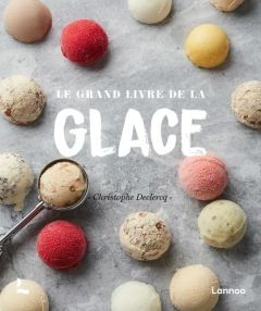 Le grand livre de la glace - Declercq Christophe - Verdurme Heikki - Vignaux An