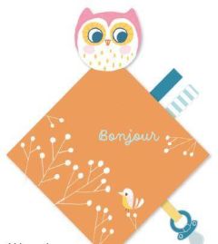 Mon petit hibou livre doudou - Talib Binny