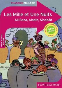 Les Mille et Une Nuits - Manouguian Virginie - Galland Antoine