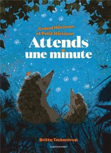 Grand Hérisson et Petit Hérisson : Attends une minute ! - Teckentrup Britta - Bideault Anne