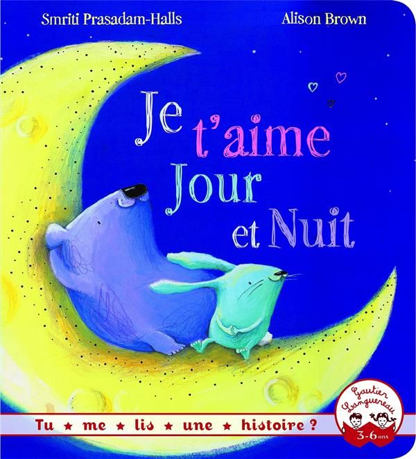 Emprunter Je t'aime jour et nuit livre