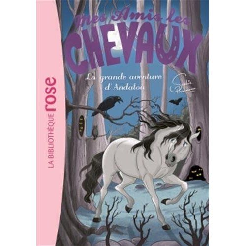 Emprunter Mes amis les chevaux Tome 21 : La grande aventure d'Andalou livre