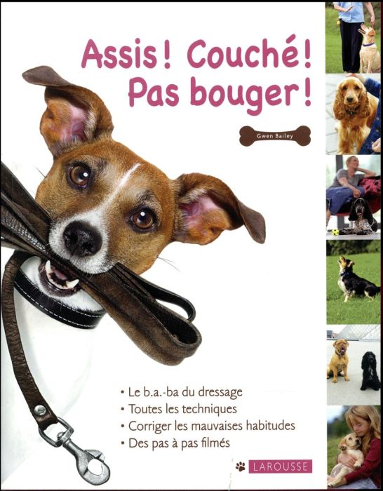 Emprunter Assis ! Couché ! Pas bouger ! livre