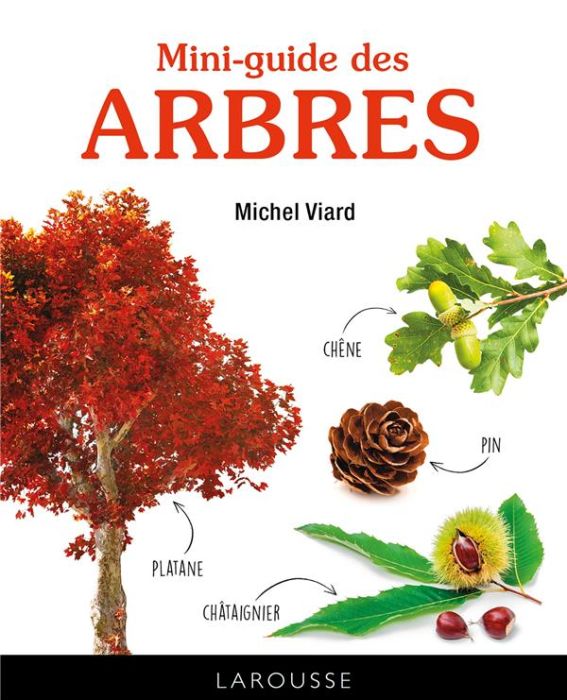 Emprunter Mini-guide des arbres livre