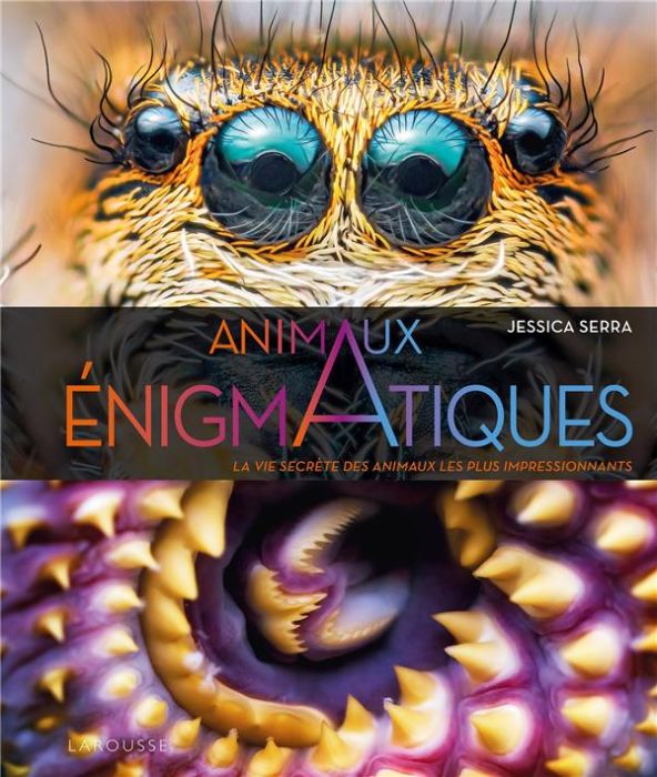 Emprunter Animaux énigmatiques. La vie secrète des animaux les plus impressionnants livre