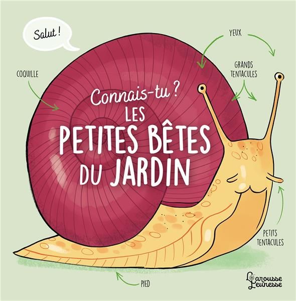 Emprunter Connais-tu les petites bêtes du jardin ? livre