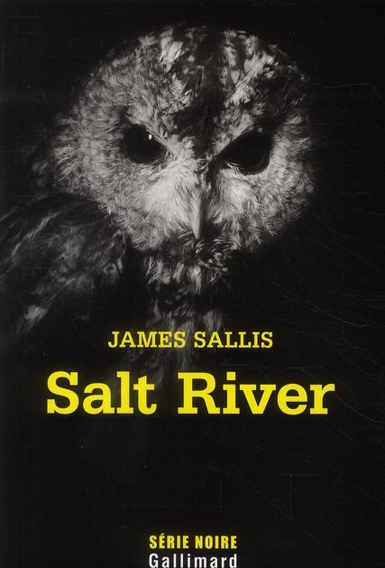 Emprunter Salt River livre