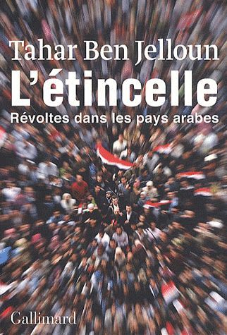 Emprunter L'étincelle. Révoltes dans les pays arabes livre