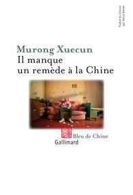 Emprunter Il manque un remède à la Chine livre