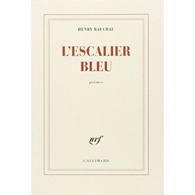 Emprunter L'escalier bleu livre