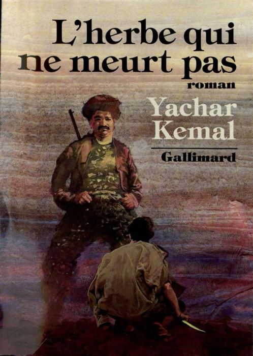 Emprunter Au-delà de la montagne Tome 2 : L'Herbe qui ne meurt pas livre