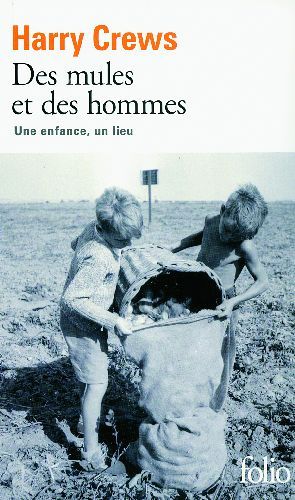 Emprunter Des mules et des hommes. Une enfance, un lieu livre