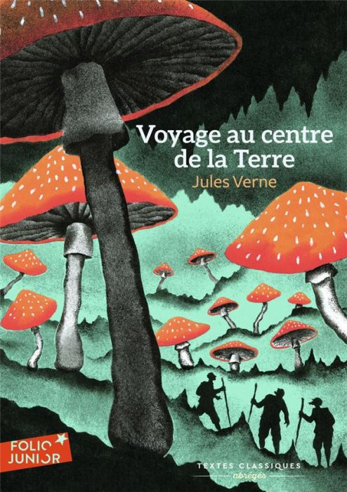 Emprunter Voyage au centre de la Terre. Texte abrégé livre