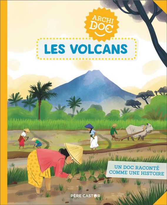 Emprunter Les volcans livre