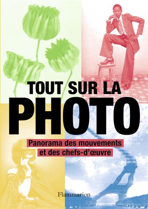 Emprunter Tout sur la photo. Panorama des chefs-d'oeuvre et des techniques livre