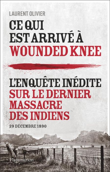 Emprunter Ce qui est arrivé à Wounded Knee. 29 décembre 1890 livre