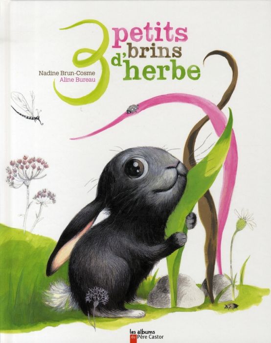 Emprunter 3 Petits brins d'herbe livre