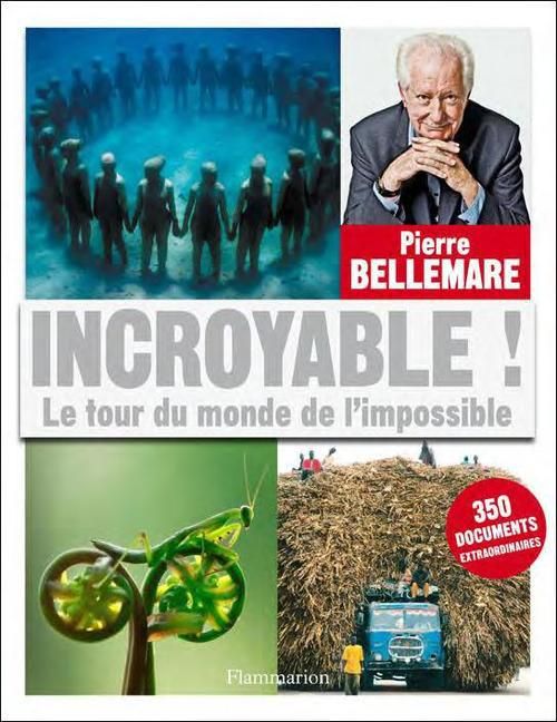 Emprunter Incroyable ! Le tour du monde de l'impossible livre