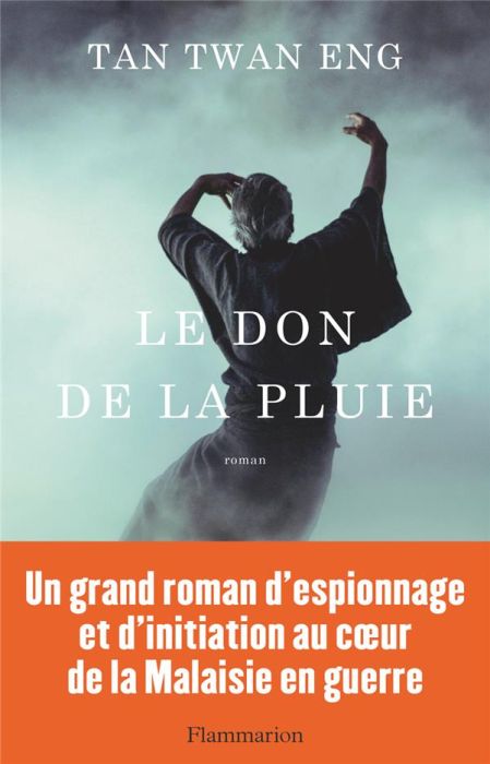 Emprunter Le don de la pluie livre