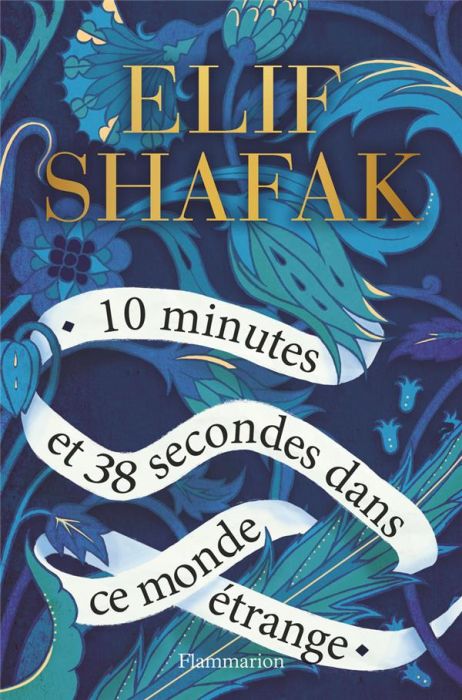 Emprunter 10 minutes et 38 secondes dans ce monde étrange livre