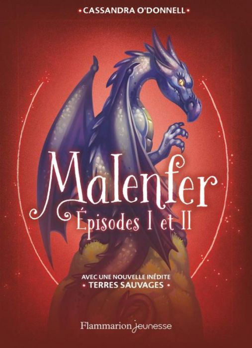 Emprunter Malenfer Episodes I et II : La forêt des ténèbres %3B La source magique. Avec une nouvelle inédite : T livre