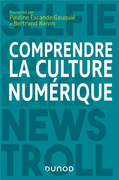 Emprunter Comprendre la culture numérique livre