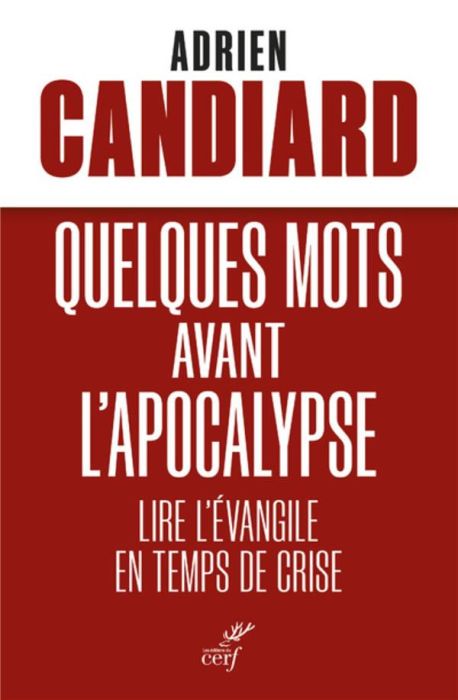 Emprunter Quelques mots avant l'Apocalypse. Lire l'Evangile en temps de crise livre