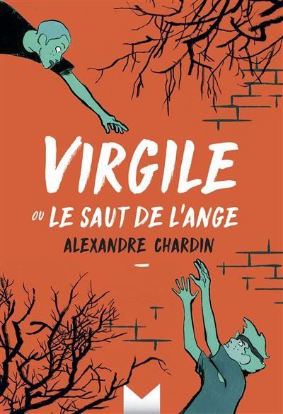 Emprunter Virgile ou le saut de l'ange livre