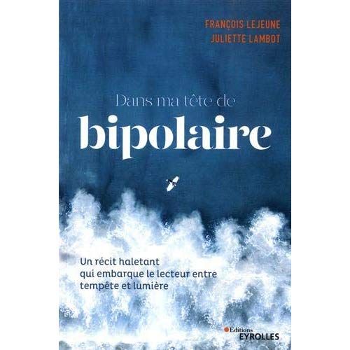 Emprunter Dans ma tête de bipolaire livre