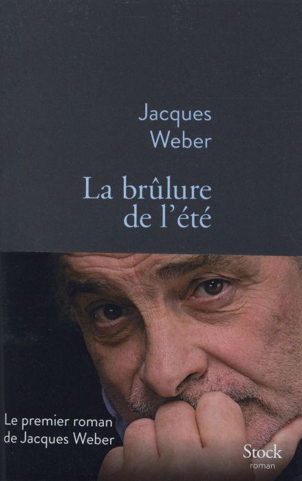 Emprunter La brûlure de l'été livre