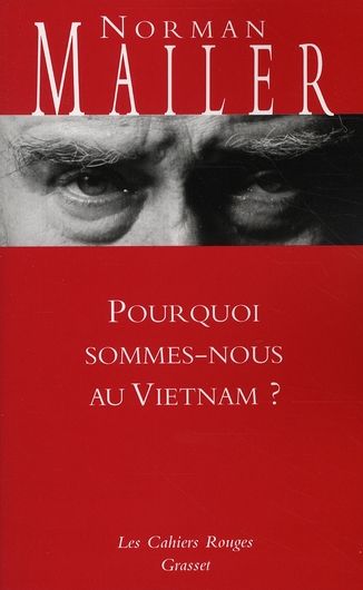 Emprunter Pourquoi sommes-nous au Vietnam ? livre