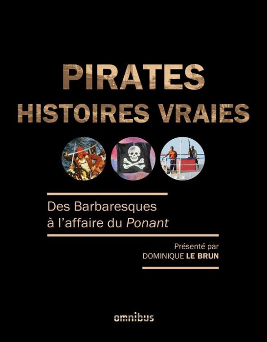 Emprunter Pirates. Histoires vaies livre